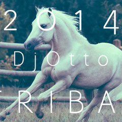 TRIBAL 2014 (DJOTTO)