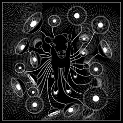 Single Unit - Family Of Forces