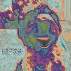 Sam Thomas - Internal Ether (Opdot Remix)