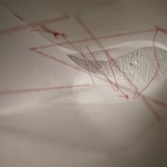 Deine Haare - Meine Fresse