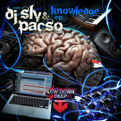 DJ SLY & PACSO 5 TONES KNOWLEDGE EP
