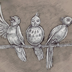 The RealBirds - Mixtape #3