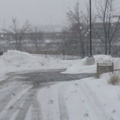 My Life--YoungFlock ft. Fuggup Mic