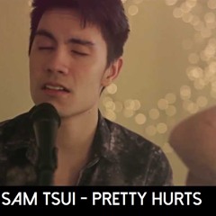 Pretty Hurts - Sam Tsui And Jason Pitts Cover