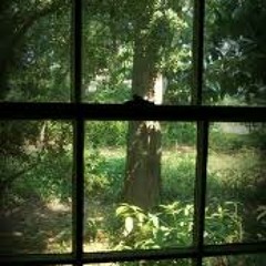 Tree At My Window (2008)