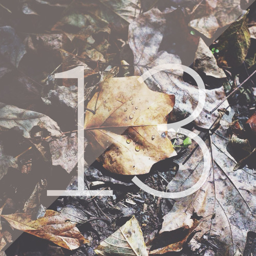 Best of 2013 Mix