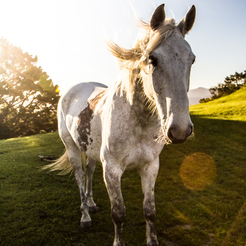 U.N.K.L.E - Somewhere(LS Remix)