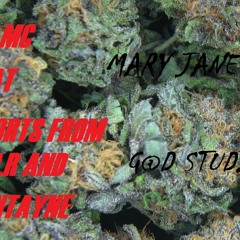 Mary jane, pn feat slortz and fontayne