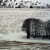 Artwork for The Green Kingdom - Untitled (from 'Expanses' CD)