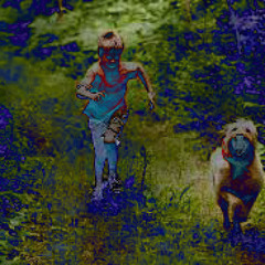 Everglades(Remix 2013)