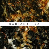 Ninetails - Radient Hex
