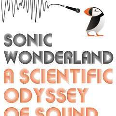 Sonic Wonderland – Burping Sand Dune
