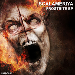 [NSTDG052] Scalameriya - Frostbite EP