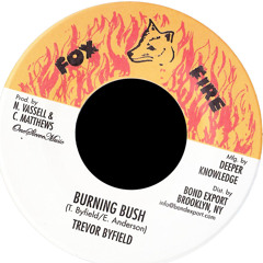 Stream DKR102A Trevor Byfield - Burning Bush (Fox Fire) by