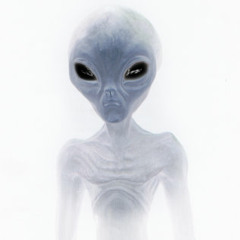 Alien In The Cupboard