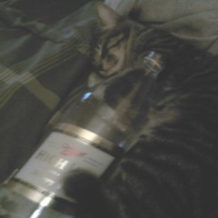 Lifted while you come up