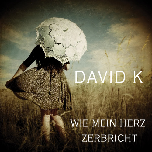 David K.  - Wie mein Herz zerbricht (Januar 2014)