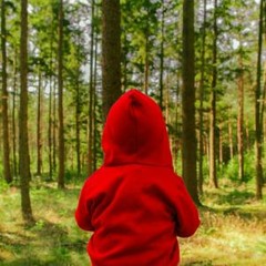 Joris Voorn - Ringo (Rework)