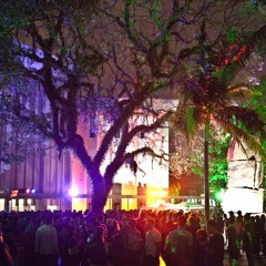 Pete Herbert - Green Sunset Party -  MIS museum, Sao Paulo Oct 2013