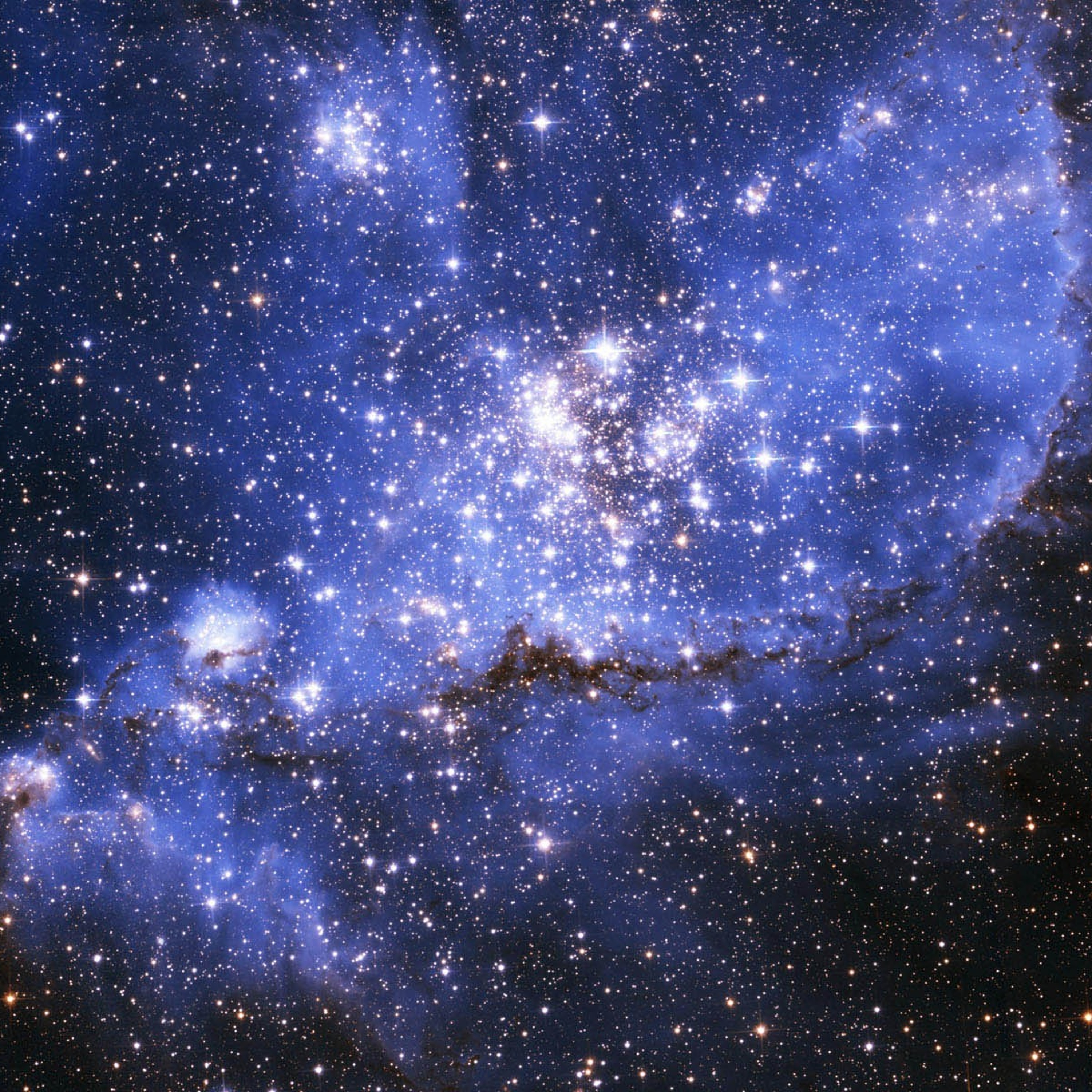 Spacy.FLAC episode artwork