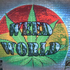 Pistol On My Lap Ft.$hankG