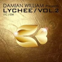 Damian William - Quantum (Johnny Work Remix) ** FREE DOWNLOAD ** [Lychee Records]
