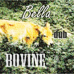 ChrisP - Bella Dub Bovine