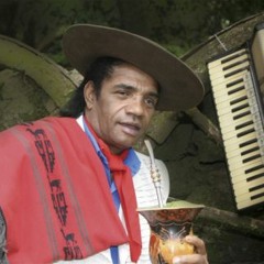 Crioulo dos Pampas - Vento Minuano