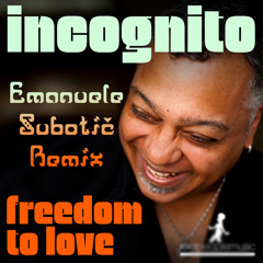Incognito - Freedom To Love (Emanuele Subotić remix)