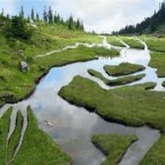 Malle Maltis – Counterflow