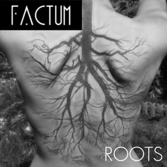 Factum - Roots (Original Mix)