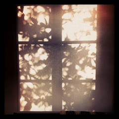 Kyrie eleison (from Indonesian Mass) SATB div. Performed by Musicanova Chamber Choir