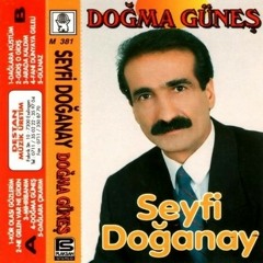 Git Yoluna - Seyfi Doganay