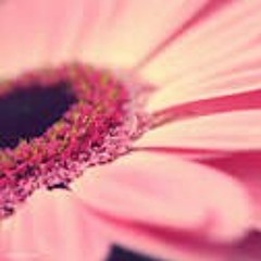 موسيقى العراف