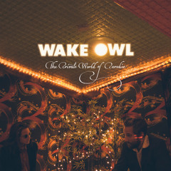 Wake Owl - Candy (TEARDROPS Remix)