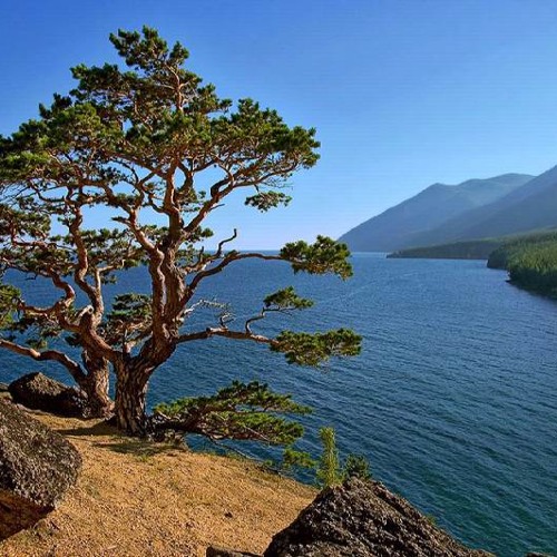 Юрий Алмазов "Дальний Восток"