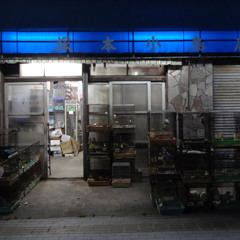 「塚本小鳥店」いわき市小名浜愛宕町 2013.12.08.