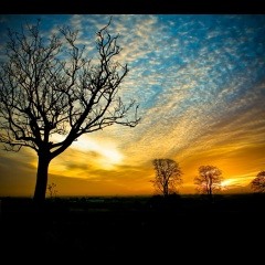 Thats not fair feat. Kenadee