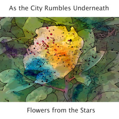Flowers from the Stars