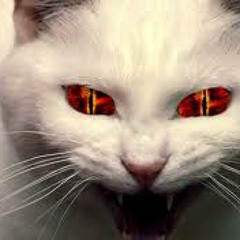 Kittyland