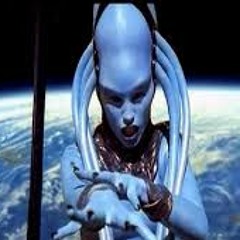 Diva Plavalaguna v2