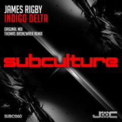 Indigo Delta (Original Mix) Cut From John O'Callaghan B2B Ferry Corsten - Poland Set
