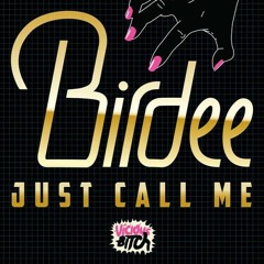 Birdee - Just Call Me (The Young Punx Mix)