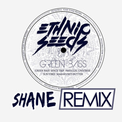 Ethnic Seeds - Space Trip (Shane 140BPM HardMinimal Remix)