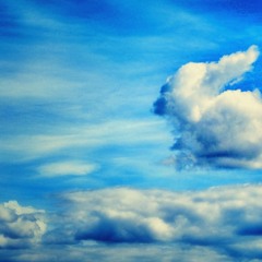 Robert Babicz - Rabbit Clouds