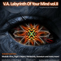 Fagin's Reject - Baby Ruthless - Labrynth Of Your Mind, Vol 2