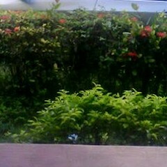 Blessed T at Yap Island FSM