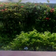 Blessed T at Yap island FSM