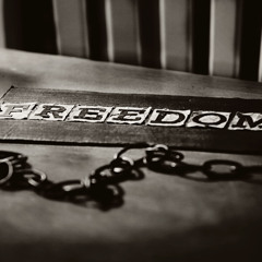 Burex feat. Amy Capilari – Freedom (Alex Pafos Mash Up)
