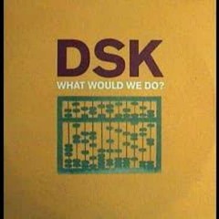 DSK - What Would We Do (Original Mix)
